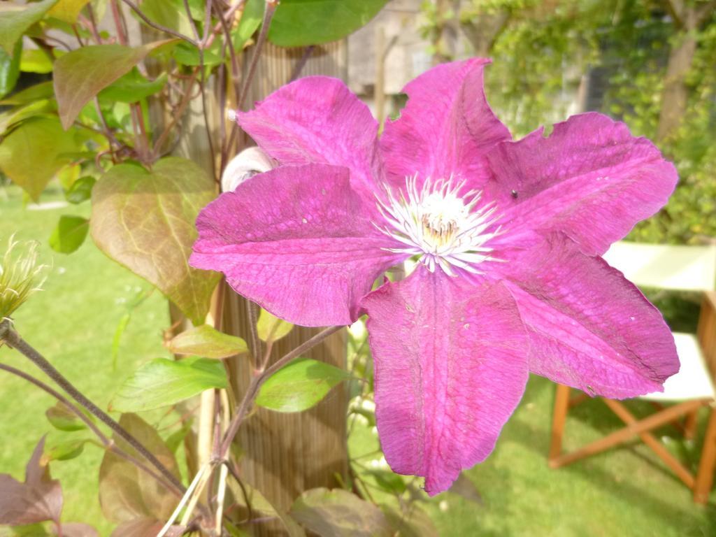 Church Hall Farm Bed And Breakfast Broxted ห้อง รูปภาพ