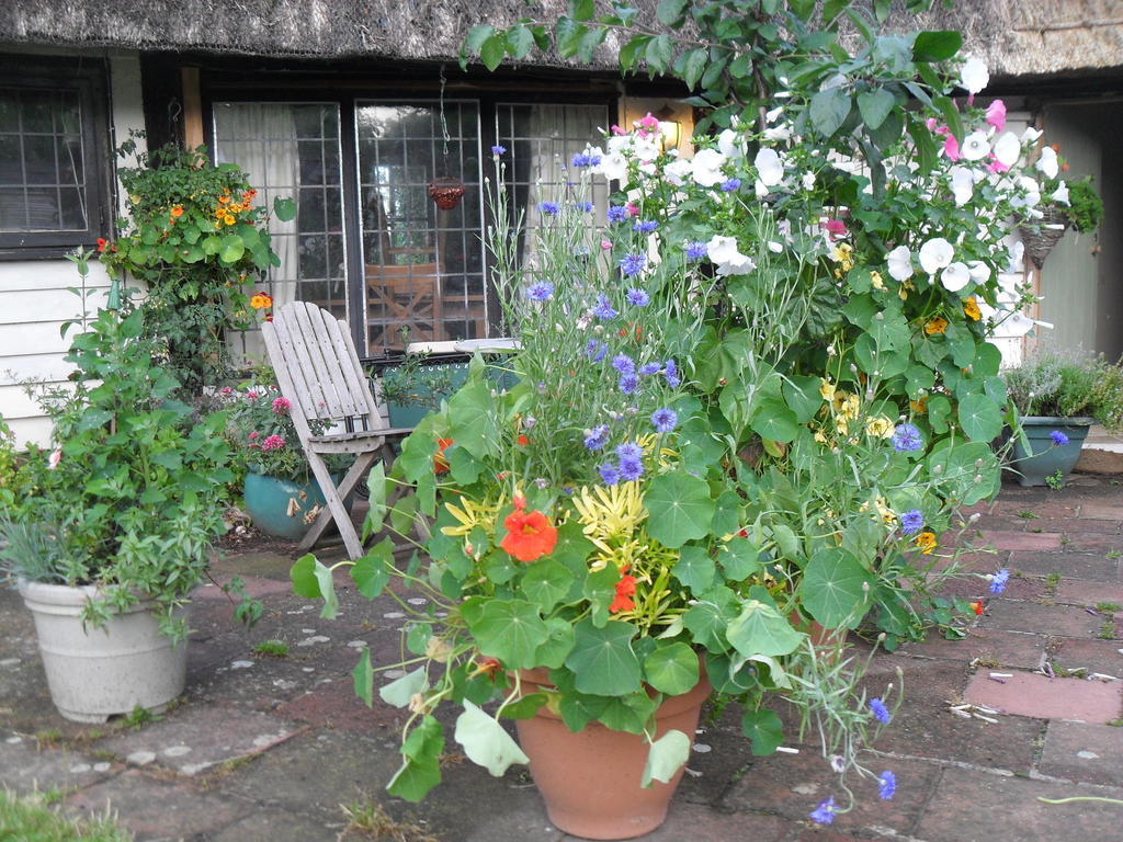 Church Hall Farm Bed And Breakfast Broxted ภายนอก รูปภาพ